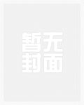 红尘极路